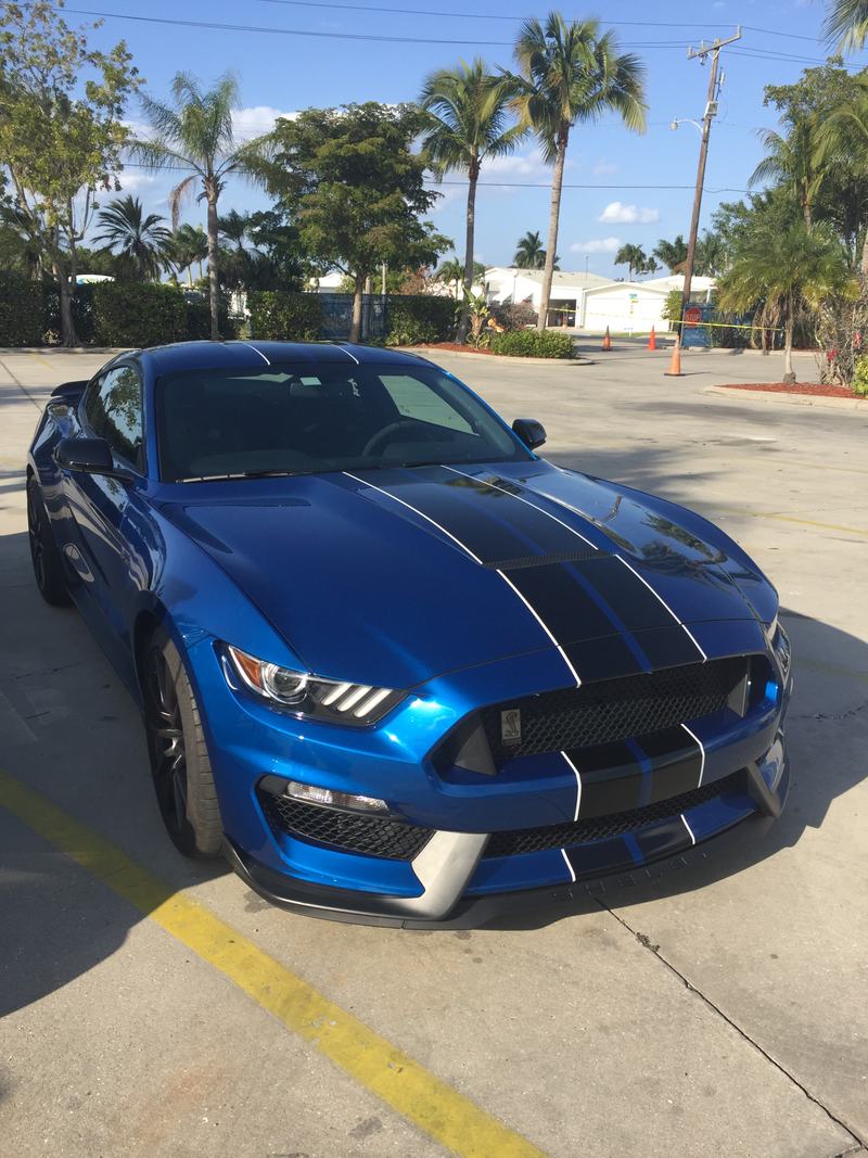 Illustration for article titled Big Question GT350 or GT500?